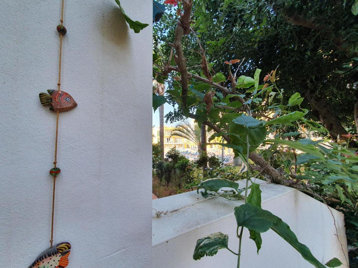 Nice 2 Bedroom Apartment Groundfloor Swimming Pool Tavira Esterno foto